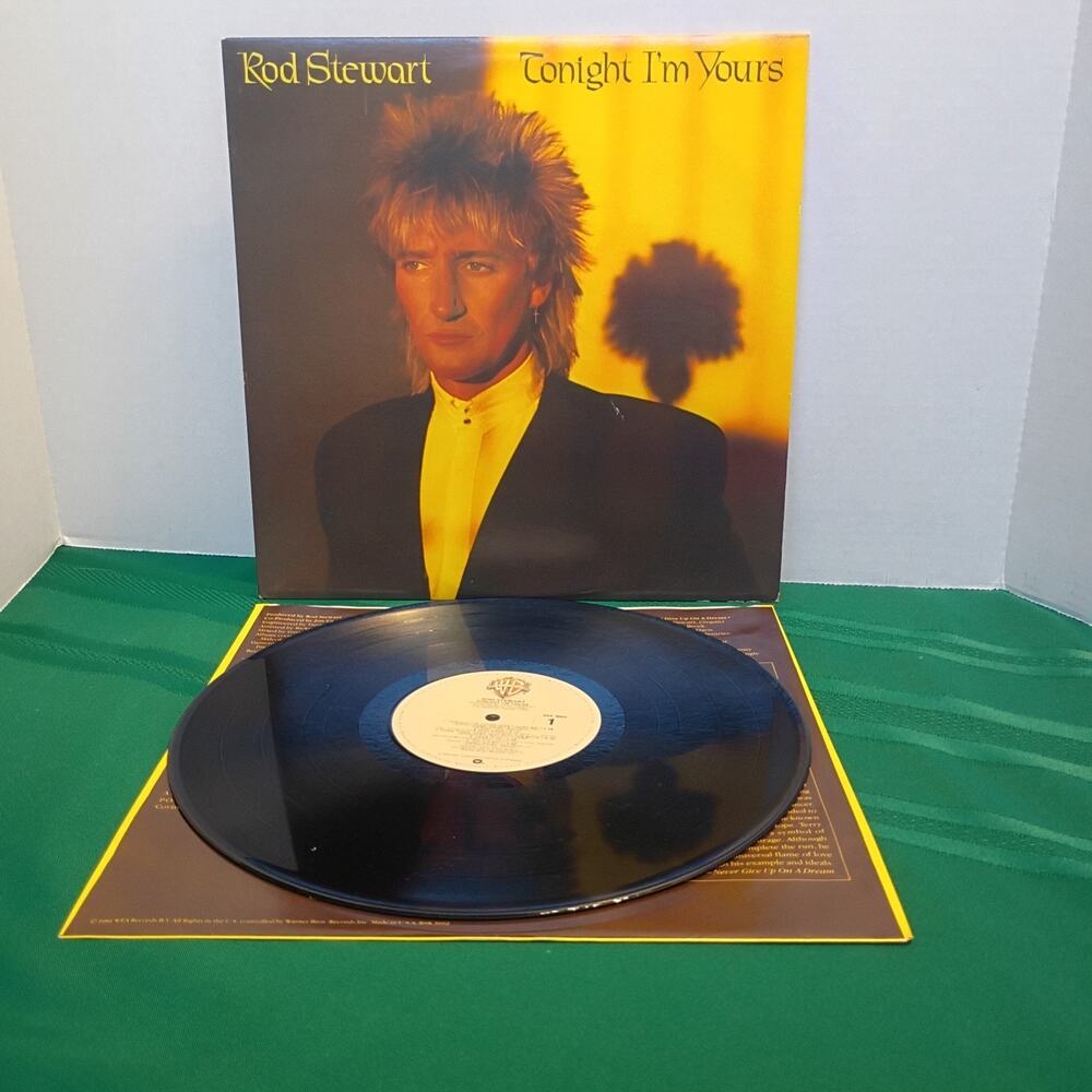 Rod Stewart ~ Tonight I'm Yours ~ 1981 LP Warner Bros. Records – BSK 3602 EX NM